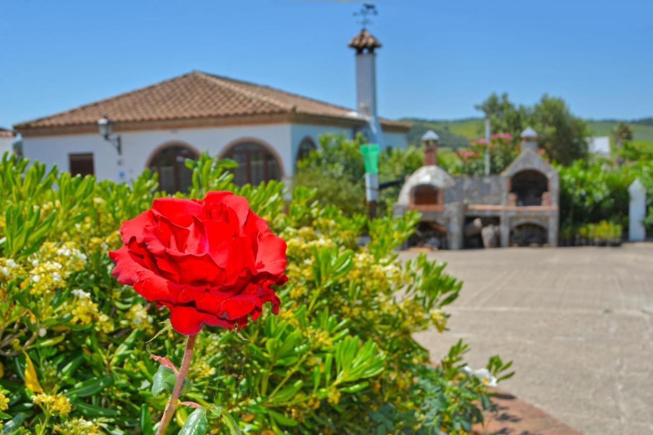 La Esperanza 1 Y 2 Villa Medina-Sidonia Exteriör bild